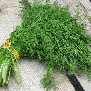 تصویر 1 از فروش ویژه سبزی شوید خشک سرگل + خرید آسان